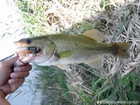 �֥�å��Х�