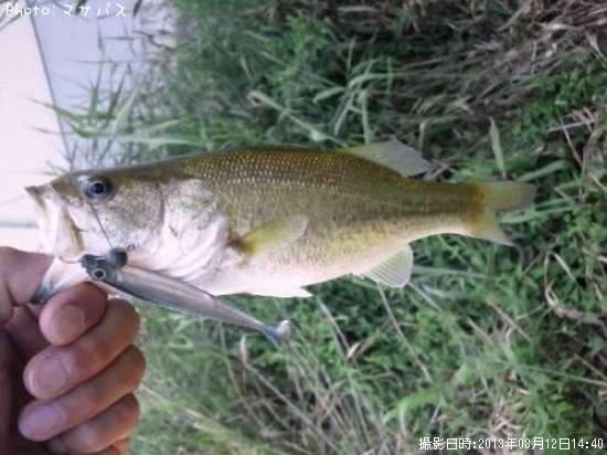 �֥�å��Х�