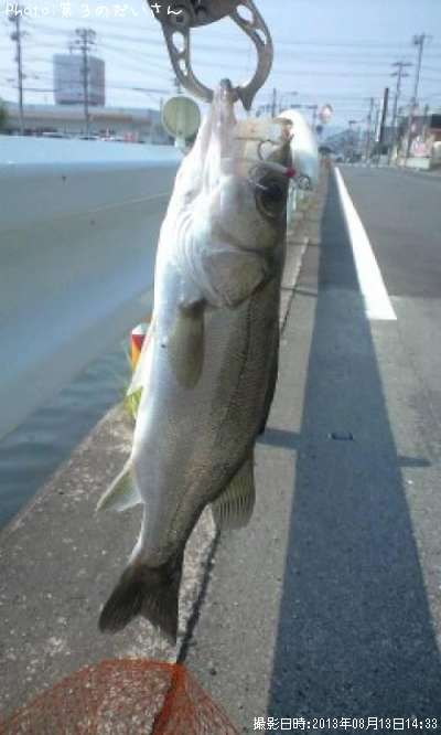 �����Х�