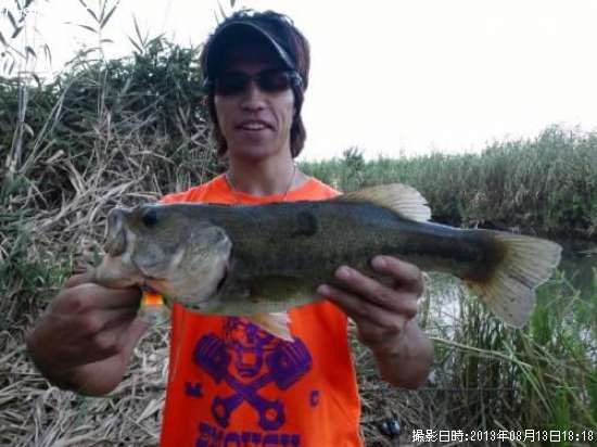 �֥�å��Х�