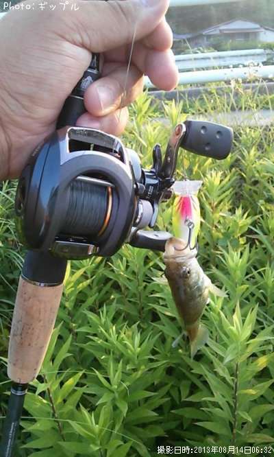 �֥�å��Х�