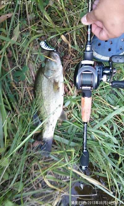 �֥�å��Х�