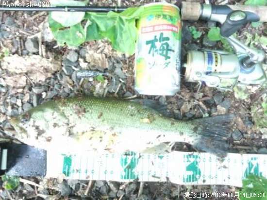 �֥�å��Х�