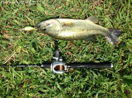 �֥�å��Х�