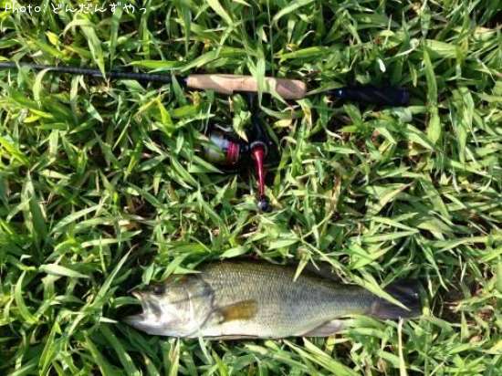 �֥�å��Х�