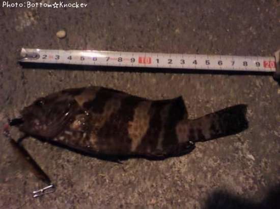 �������ϥ�