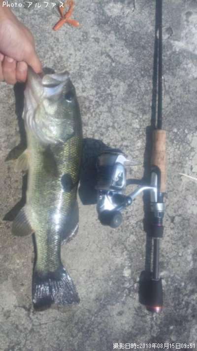 �֥�å��Х�