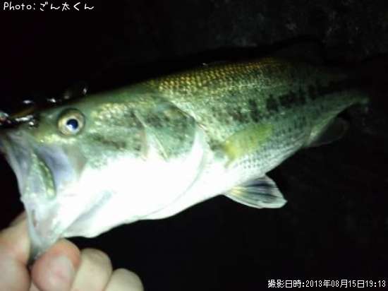 �֥�å��Х�