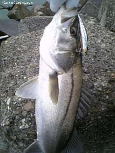 �����Х�