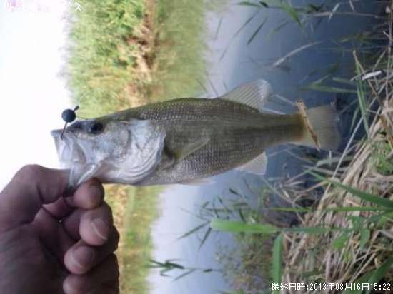 �֥�å��Х�