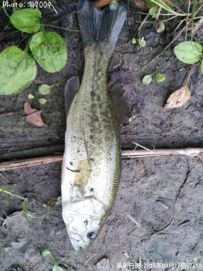 �֥�å��Х�