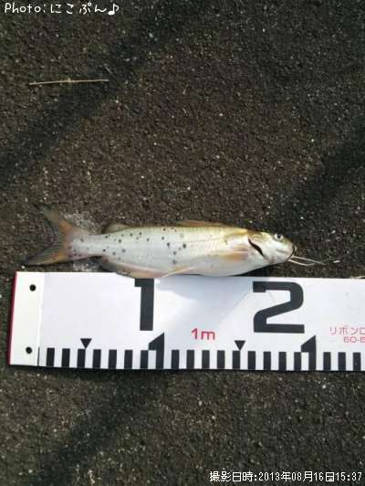 ����åȥե��å���