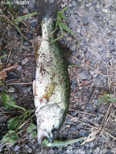 �֥�å��Х�