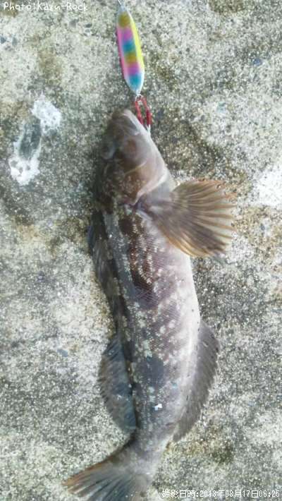 �����ʥ�