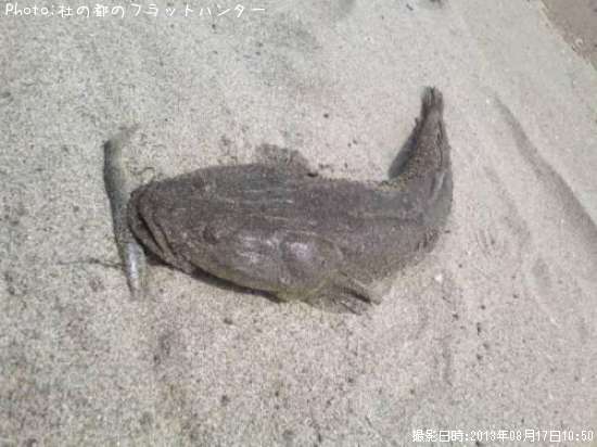 �ޥ���