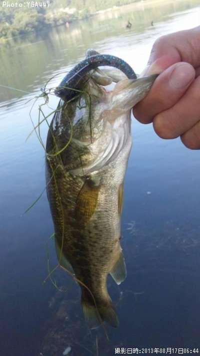 �֥�å��Х�