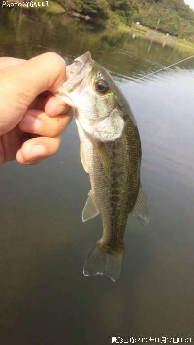 �֥�å��Х�