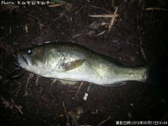 �֥�å��Х�