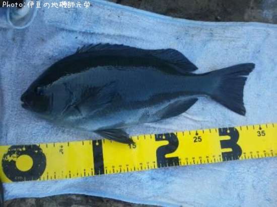 �����᥸��