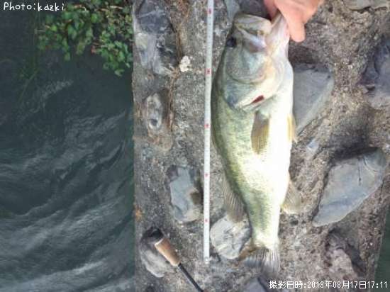 �֥�å��Х�