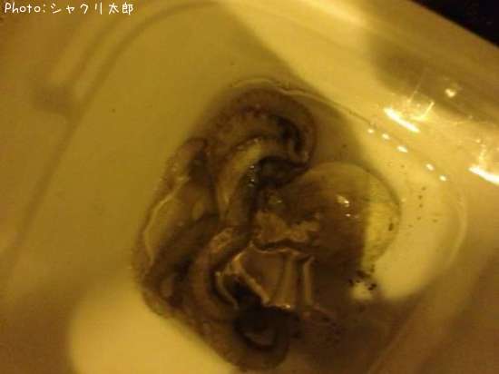 �ޥ�����