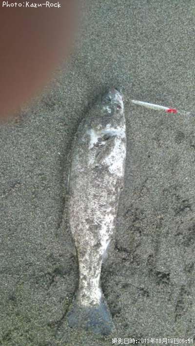 �����Х�