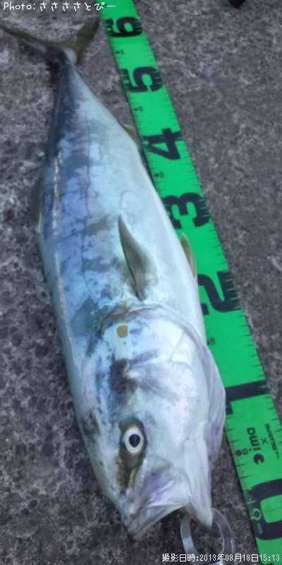 ��饵������������С����祴�����ȥ���������