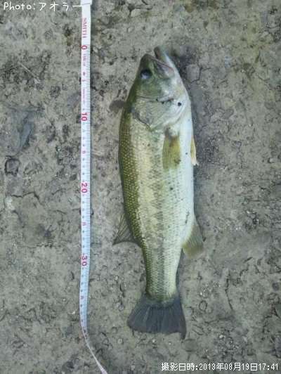 �֥�å��Х�