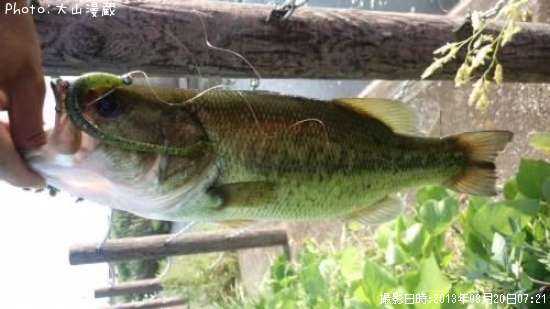 �֥�å��Х�