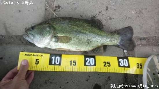 �֥�å��Х�