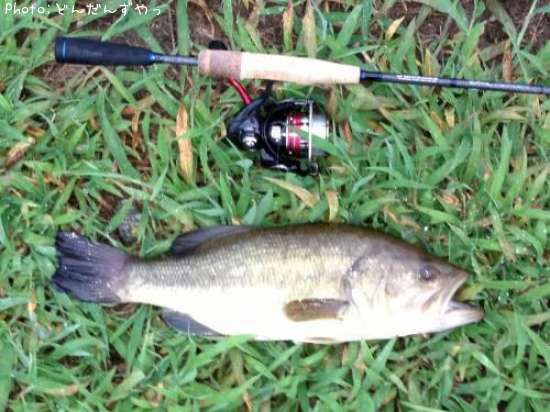 �֥�å��Х�