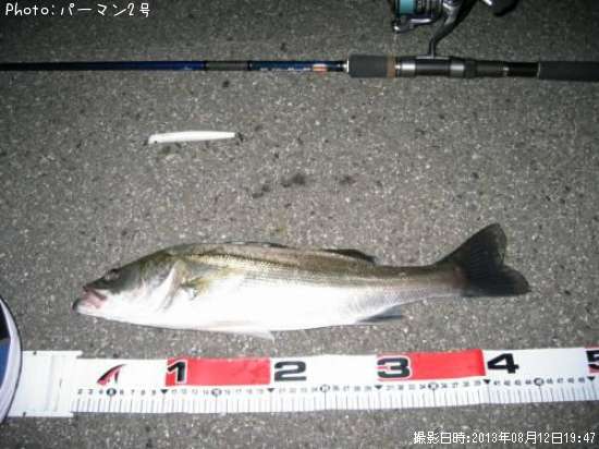 �����Х�