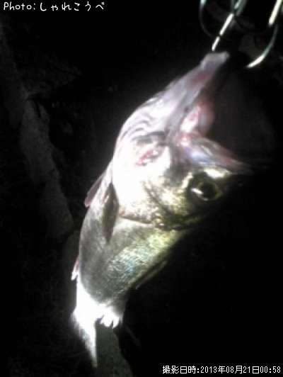 �����Х�