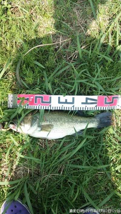 �֥�å��Х�