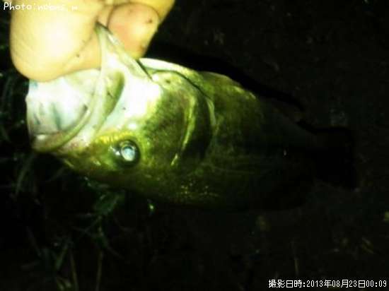 �֥�å��Х�