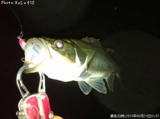 �����Х�