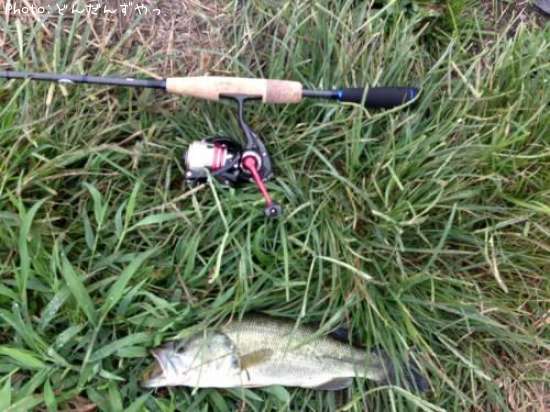 �֥�å��Х�