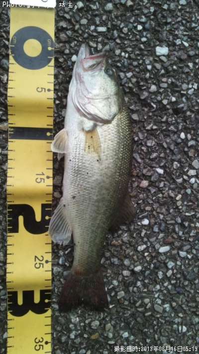 �֥�å��Х�