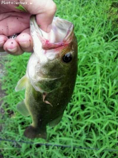 �֥�å��Х�