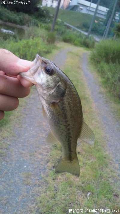 �֥�å��Х�