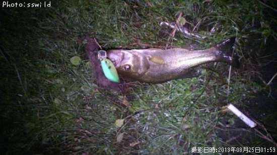 �֥�å��Х�