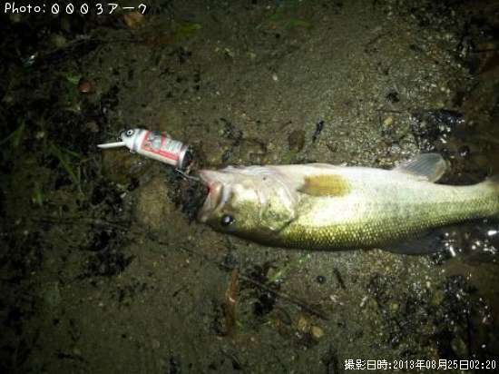 �֥�å��Х�