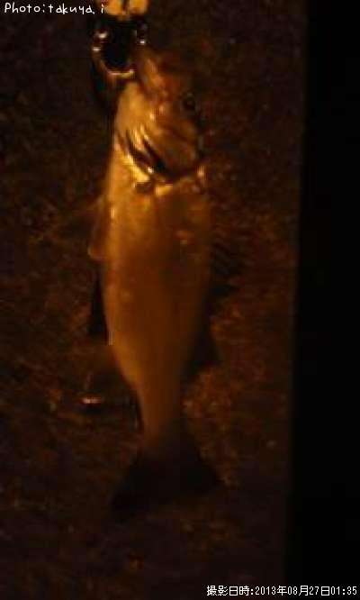 �����Х�