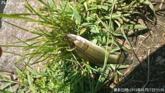 �֥�å��Х�