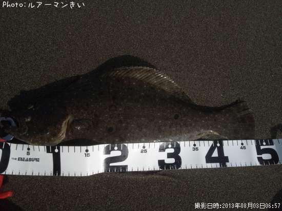 �ҥ��