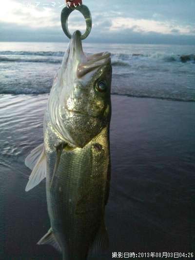 �����Х�