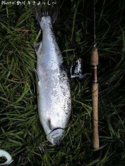 ������ޥ�