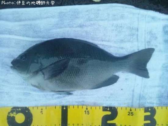 �����᥸��