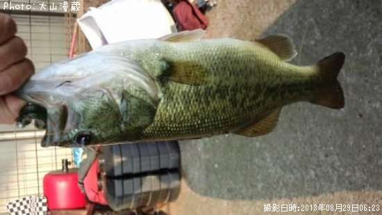 �֥�å��Х�