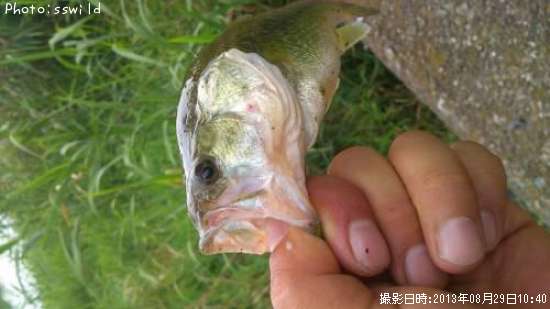 �֥�å��Х�